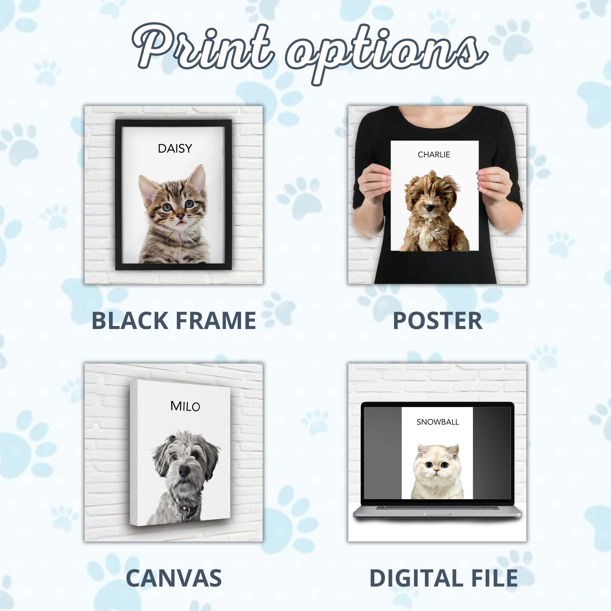 Print Options